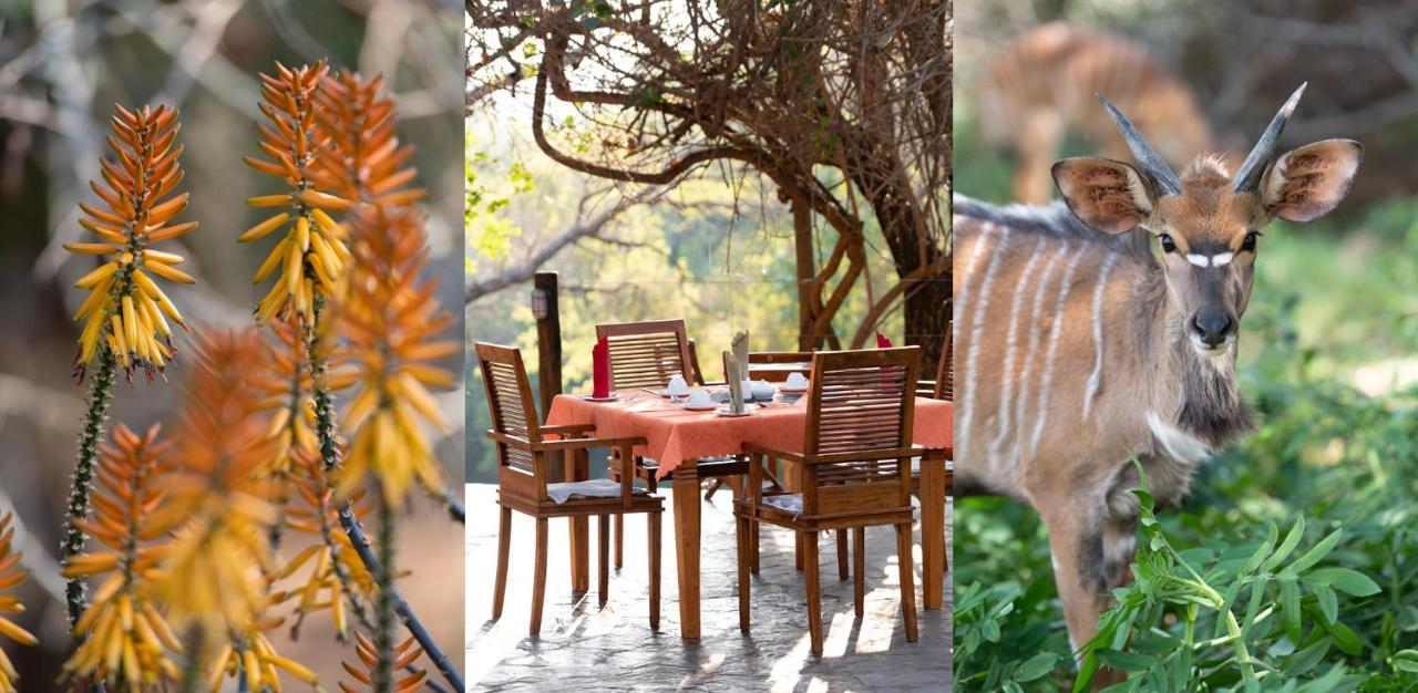 Blyde River Wilderness Lodge Hoedspruit Exterior photo